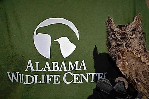 Alabama Wildlife Center景点图片