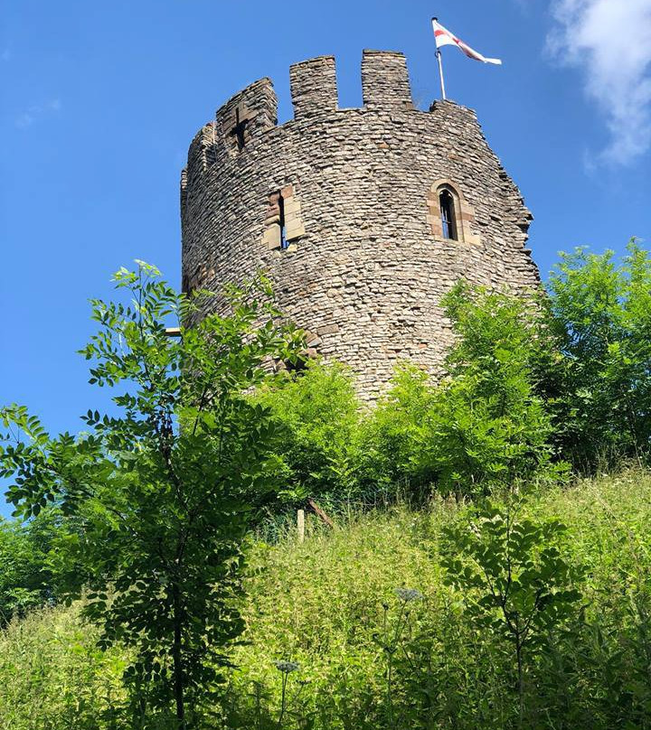 Dudley Zoo and Castle景点图片