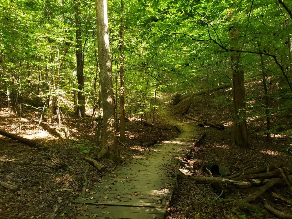 Buford Dam Park-比福德必去景点