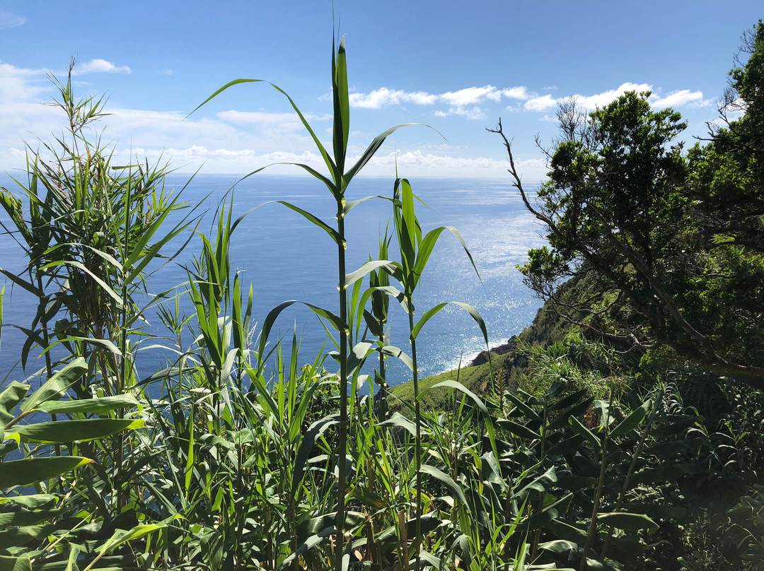 Faja de Lopo Vaz-Lajes das Flores必去景点