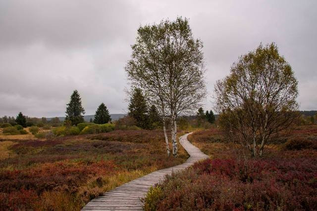 Landhaus Eifelsicht主图