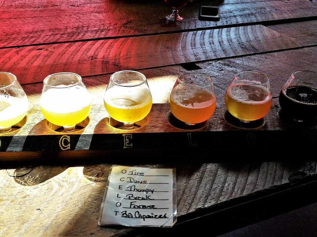 Ocelot Brewing Company景点图片