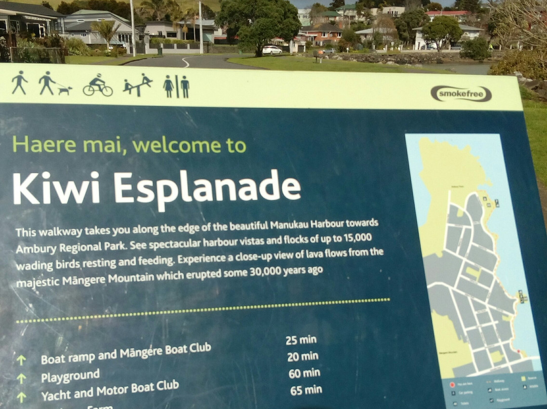 Kiwi Esplanade Walkway景点图片