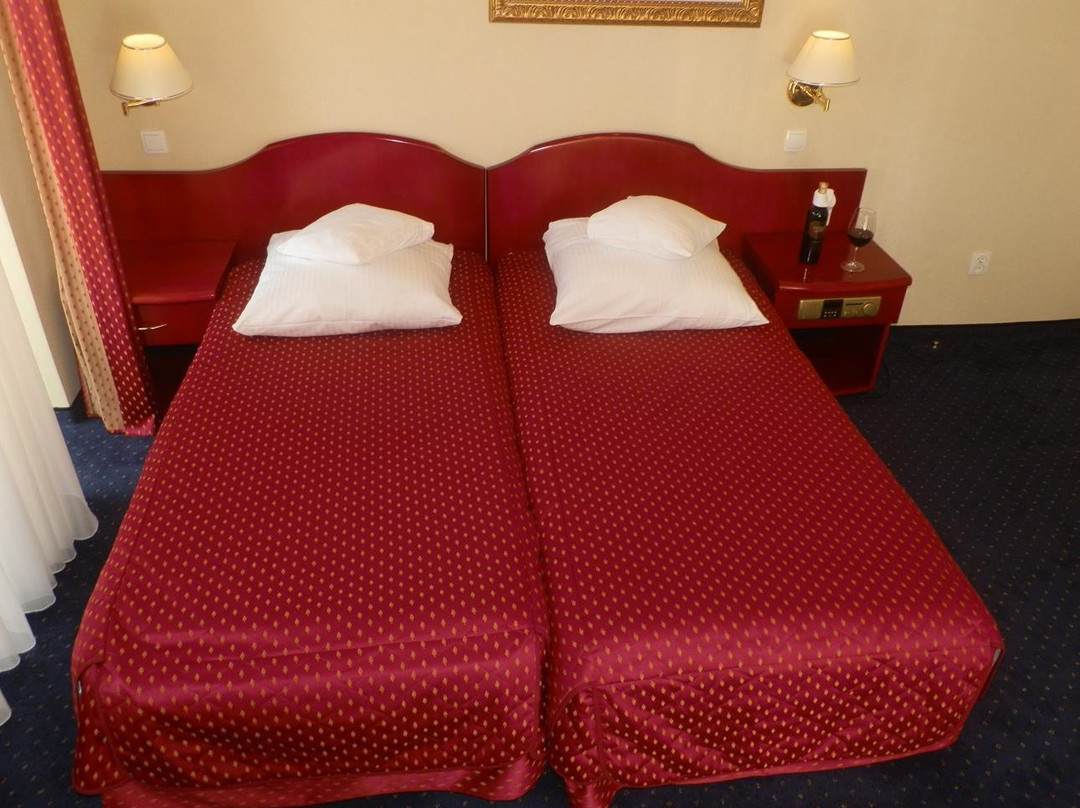 Willa Alexander Resort & SPA主图