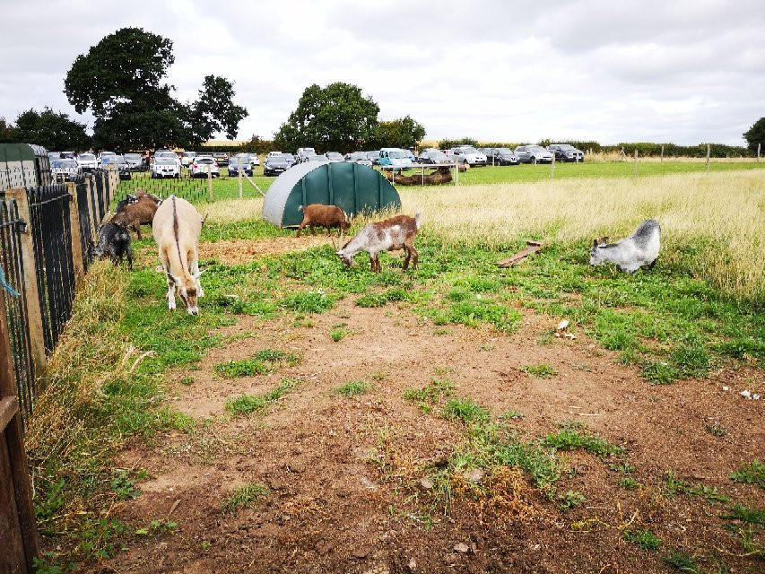 Shenstone旅游景点-Oak Tree Farm