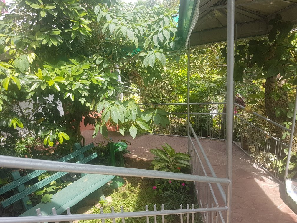 布劳森姆莱斯特厚慕斯代酒店主图