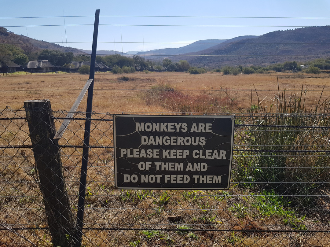 巴库蓬布什旅馆主图