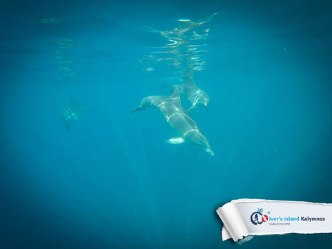 Diver's Island-Panormos必去景点