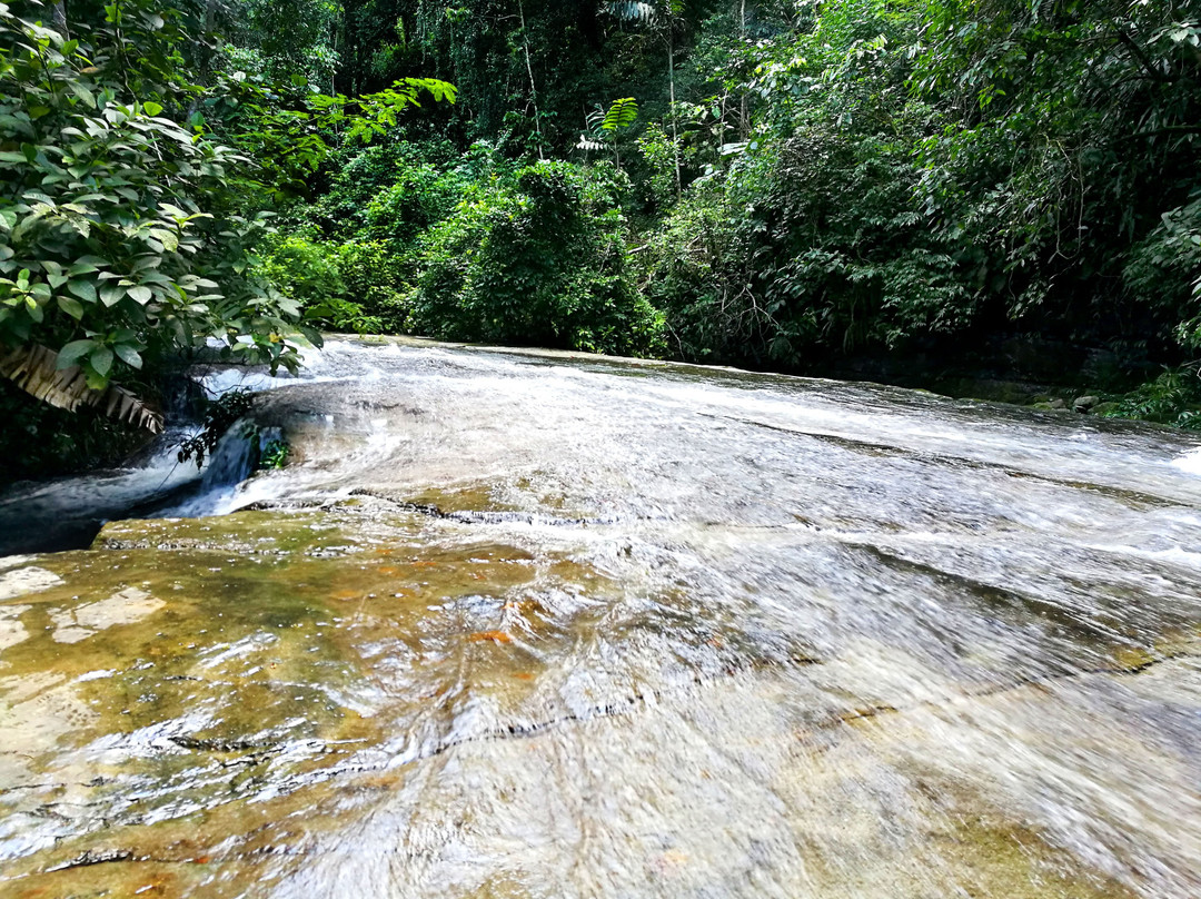 Catarata De Ishipashiari-Atalaya必去景点