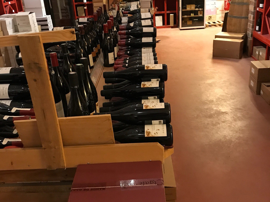 Maison Mediterraneenne des Vins-勒格罗迪鲁瓦必去景点
