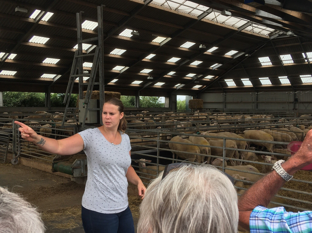 Hoeve Vrij & Blij-Den Hoorn必去景点