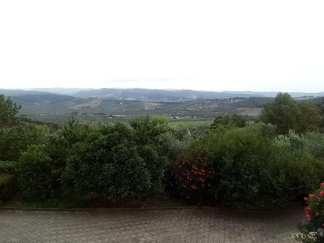 Le Cicale B&B Vieste主图