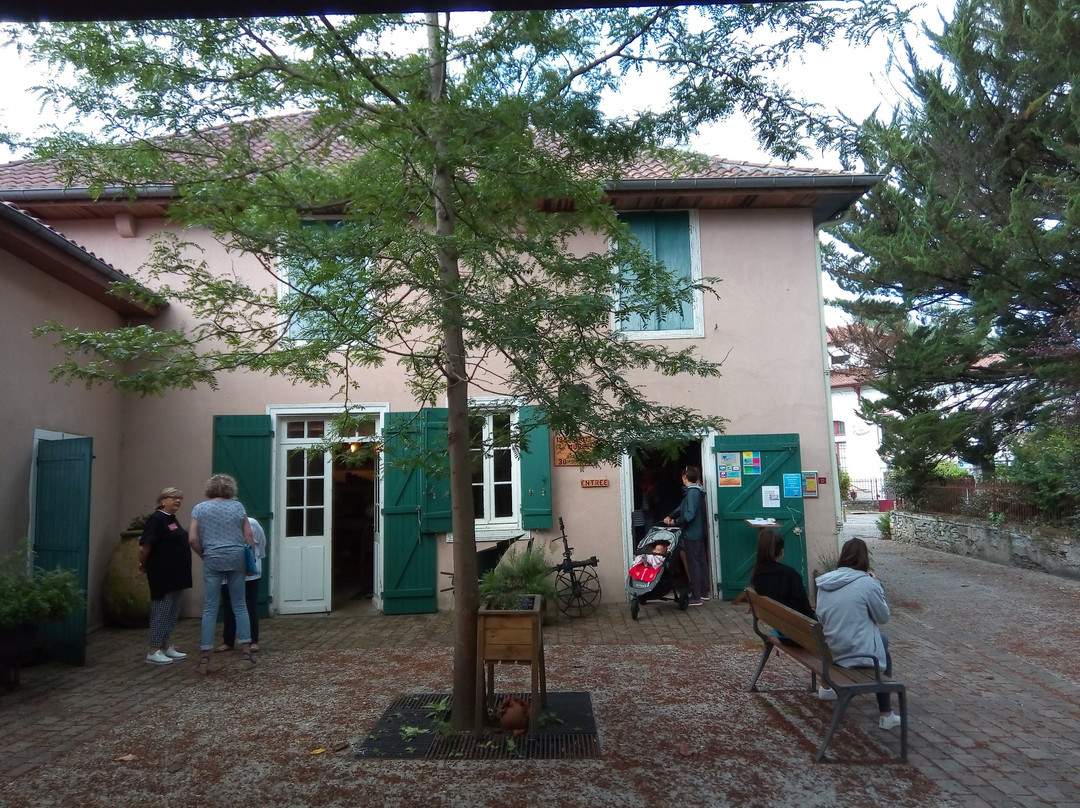 Musee Landes d'Antan景点图片