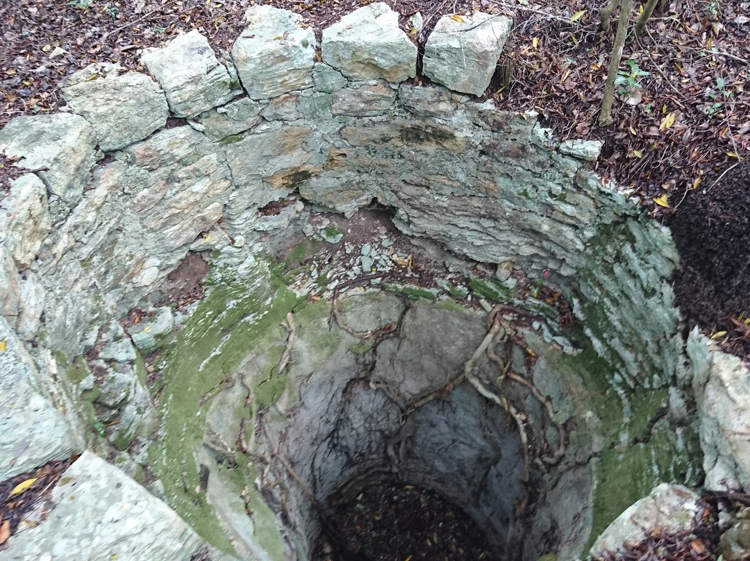 Indigenous Tours and Rentals-Kew必去景点