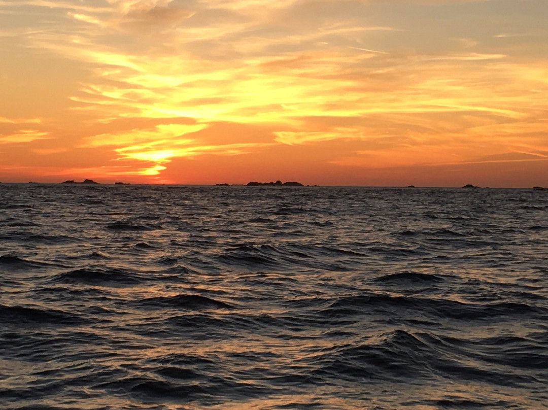 Jersey RIB Adventures-Trinity必去景点