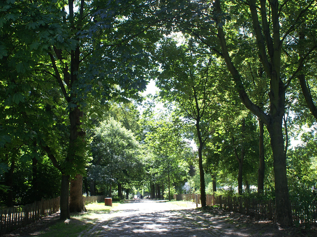 Parc de L'ile Saint Germain景点图片