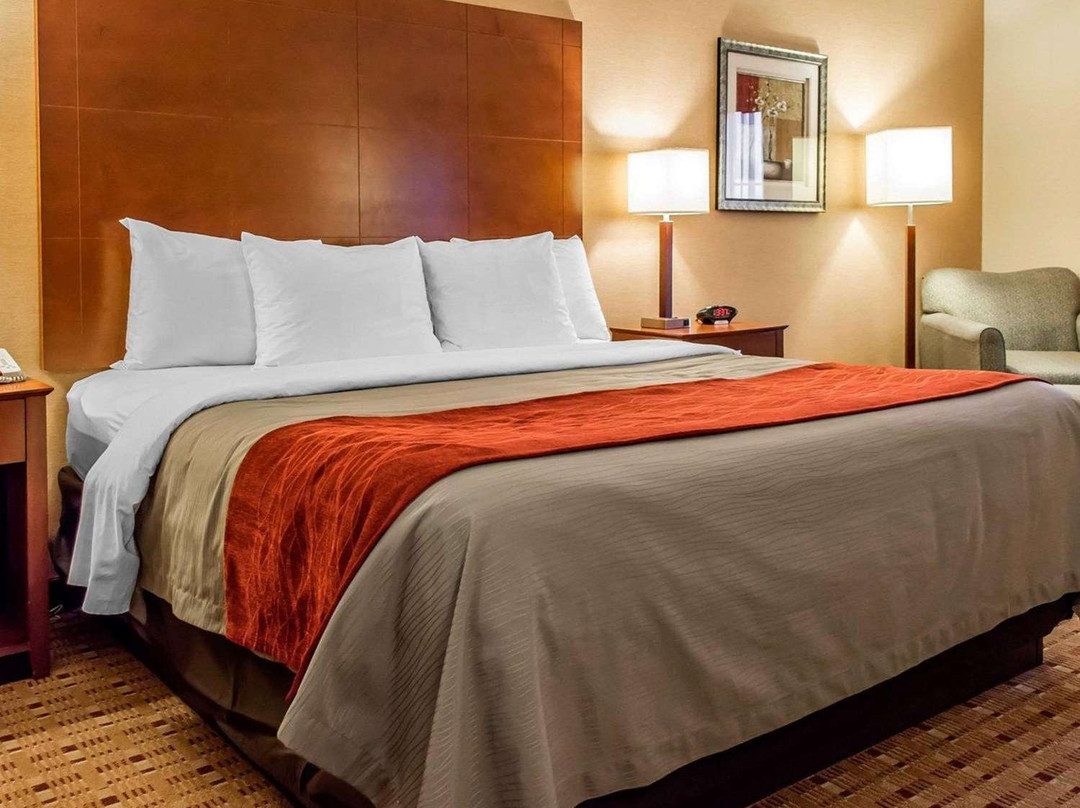 Comfort Inn & Suites Franklin主图