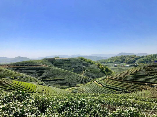 Trendy Adventurer-杭州市必去景点