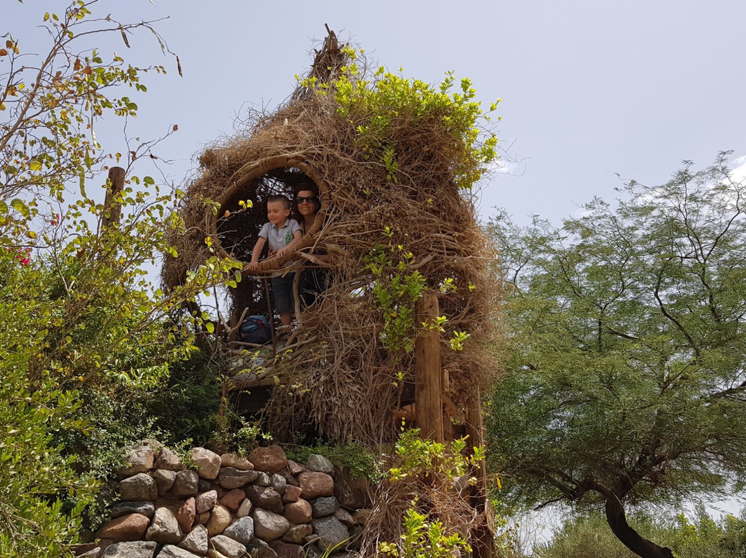 The Botanical Garden Of Eilat景点图片