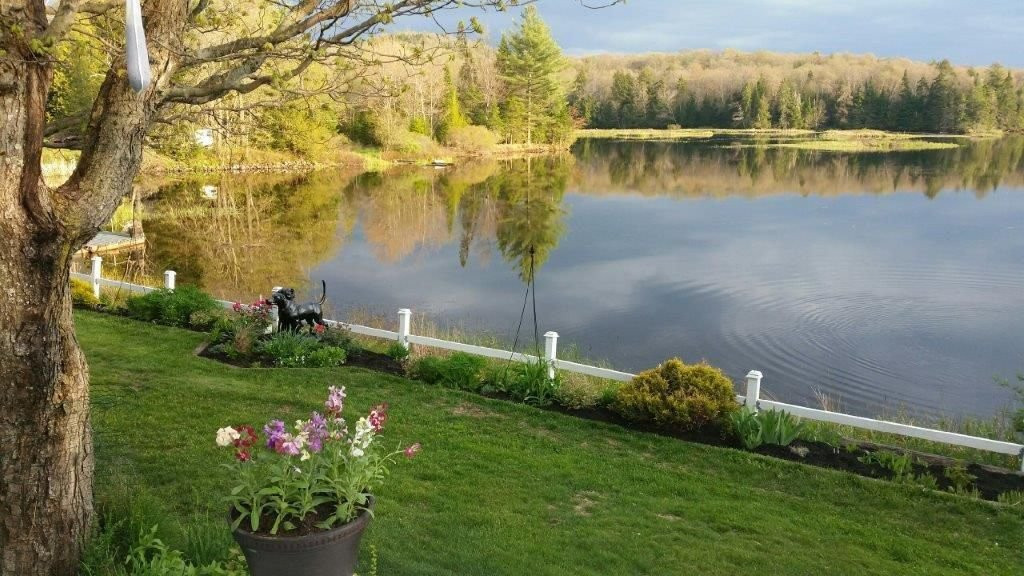 Moose River House主图