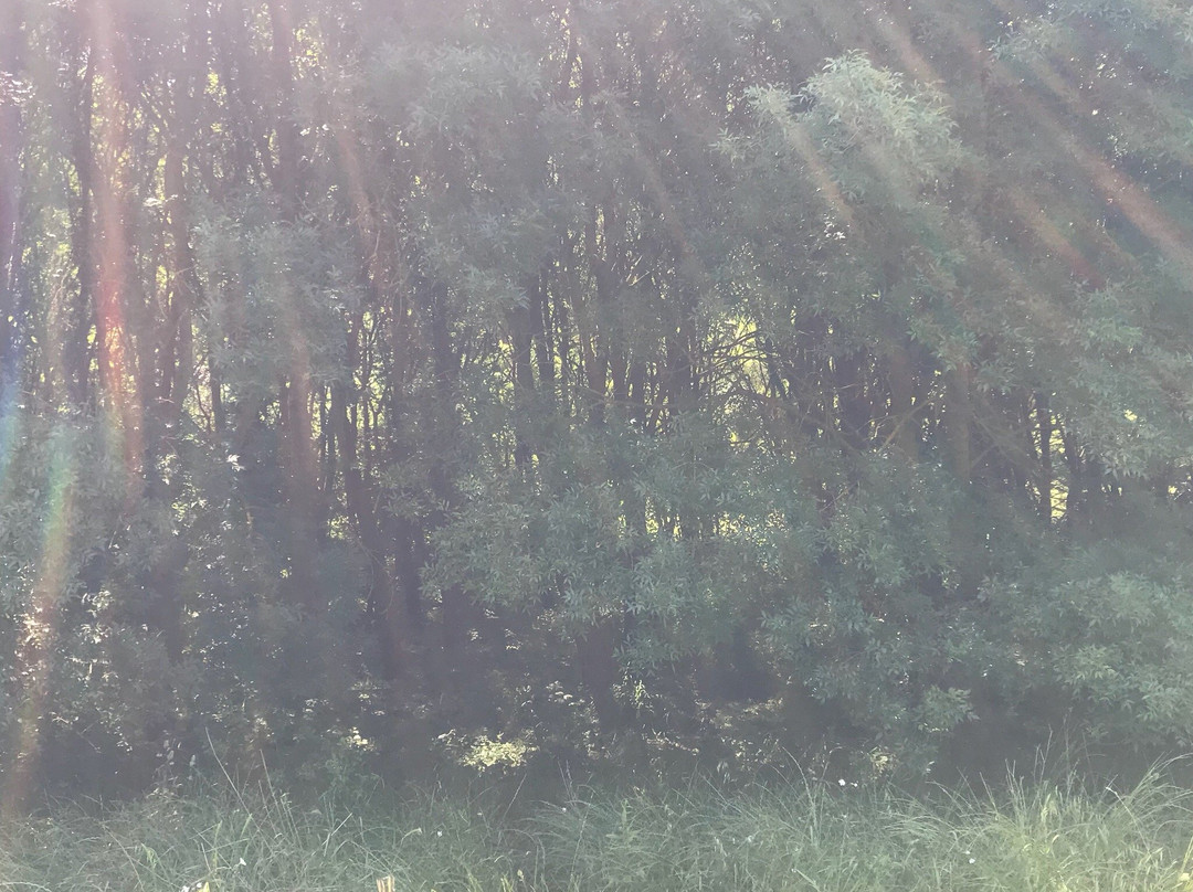 Oasi LIPU Castel di Guido-罗马必去景点