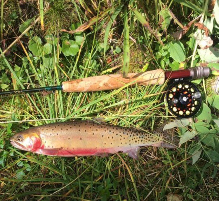 Avalanche Outfitters-Redstone必去景点