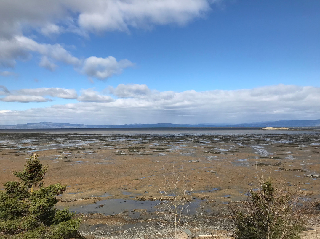 Motel Cap Blanc主图