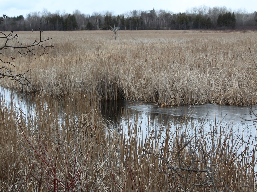 Miller Creek Wildlife Area景点图片