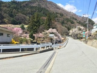 Kichijouji Temple景点图片