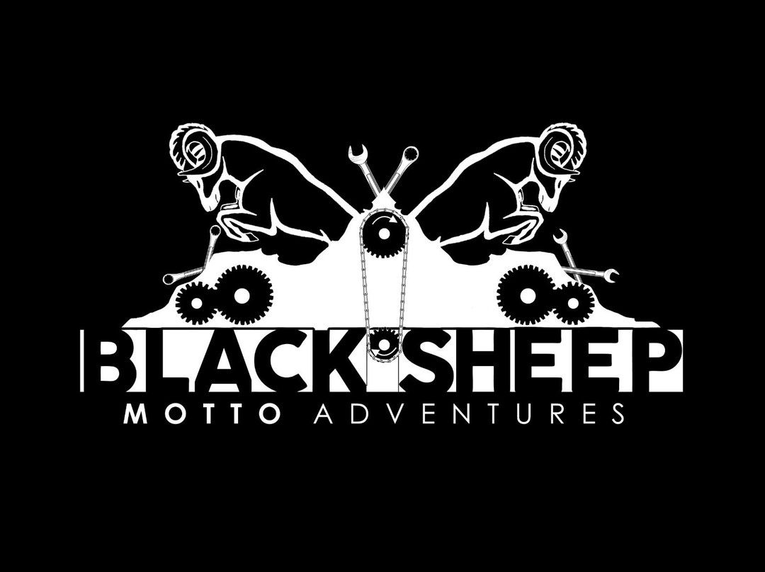 Black Sheep Motto Adventures景点图片