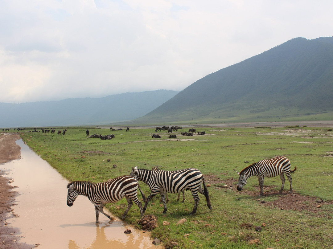 Bencia Africa-恩戈罗恩戈罗保护区必去景点