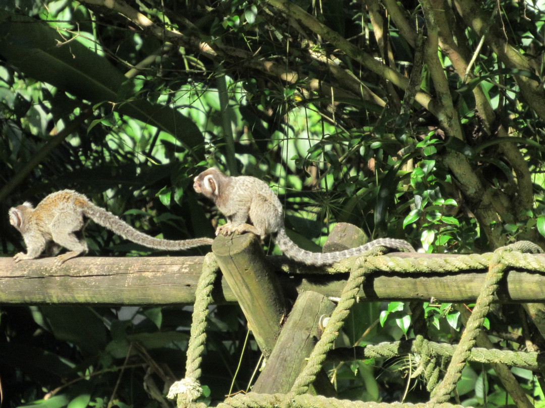 Paraty Sport Aventura景点图片