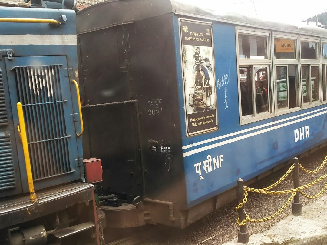 Darjeeling Toy Train景点图片