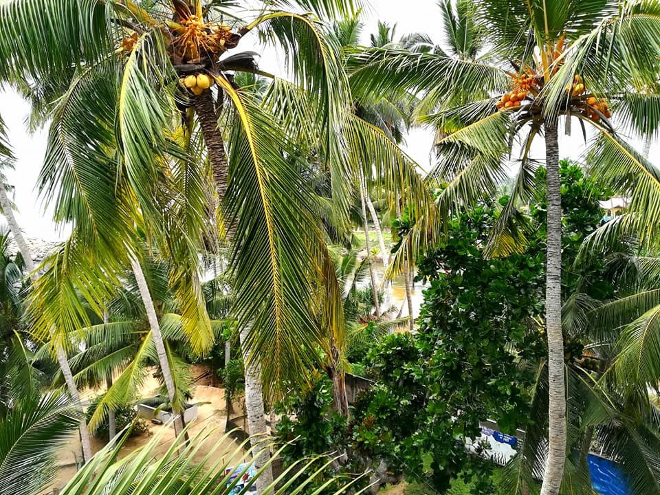 New Shangrela Beach Resort-酒店景观