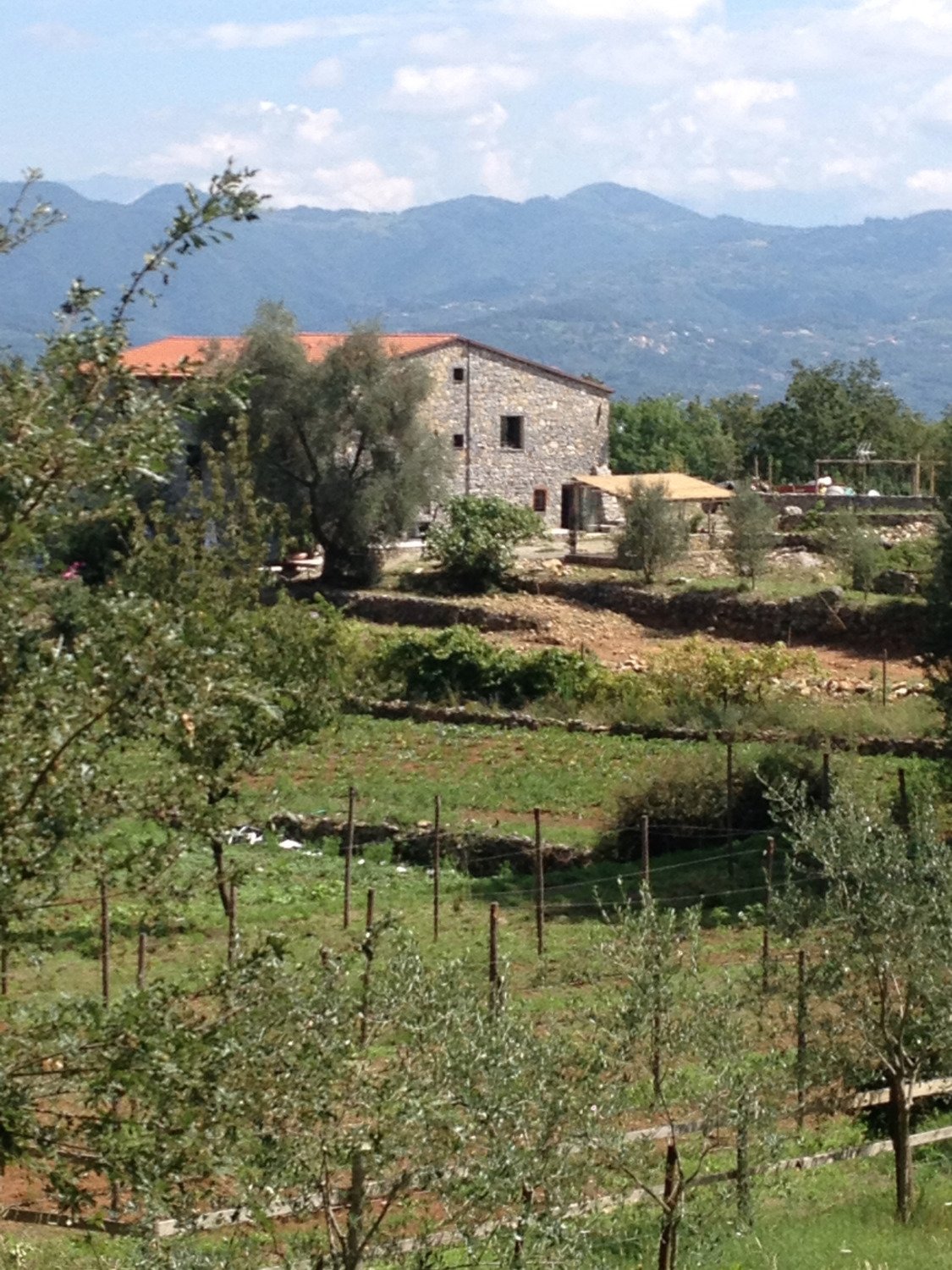 B&B Oca Nera Lerici-官方