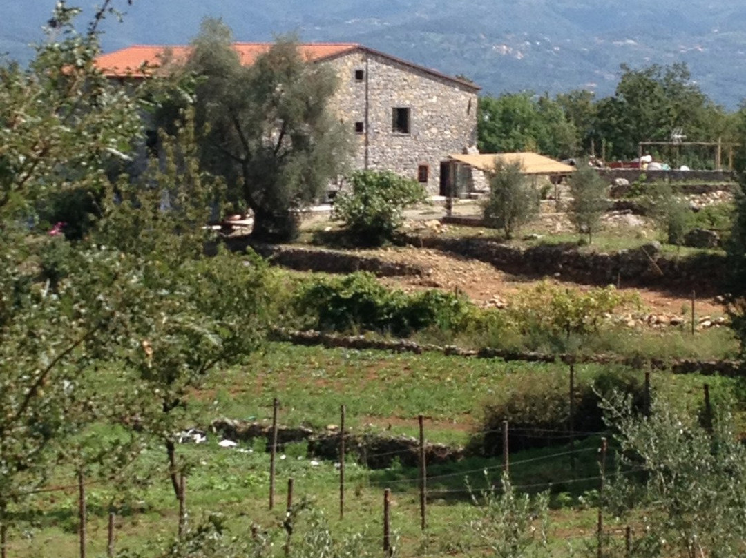 Romito Magra酒店住宿-B&B Oca Nera Lerici