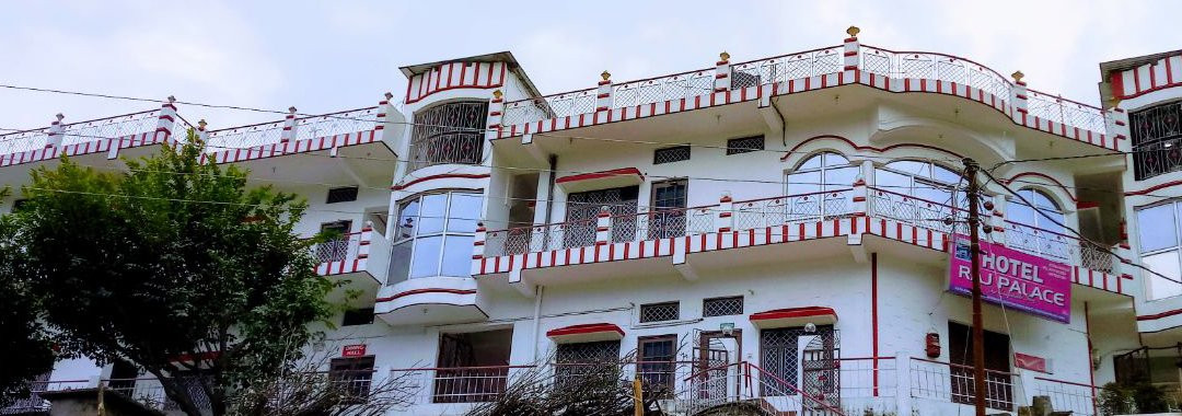 Hotel Raj Palace主图