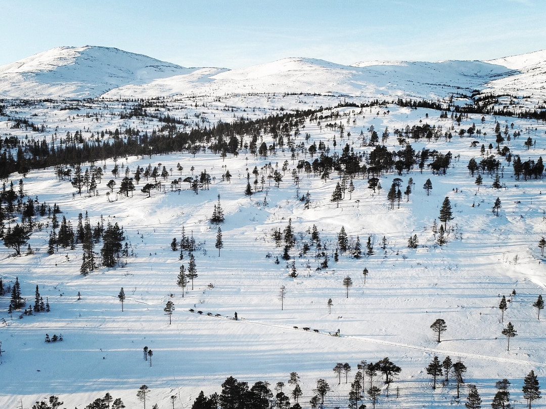 Aspaasen gaard og husky景点图片