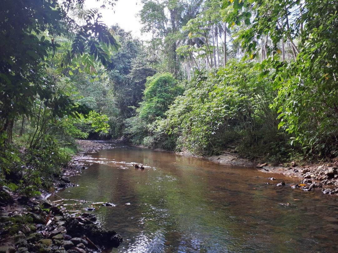 Hinayagan Cave-比斯利格必去景点