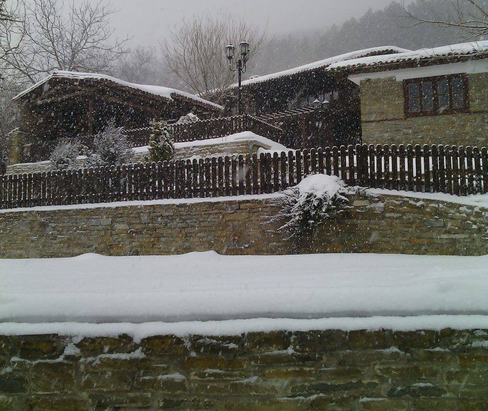 Zarkovata Kashta主图