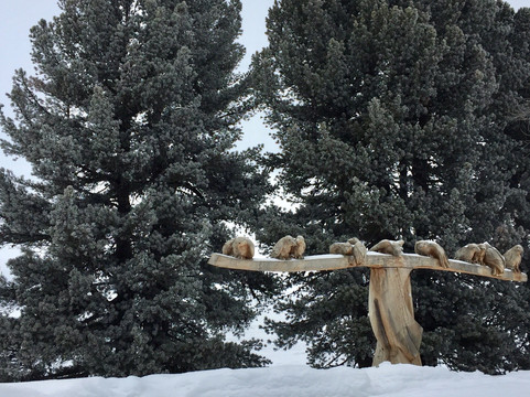 Schellen Ursli Path-圣莫里茨必去景点