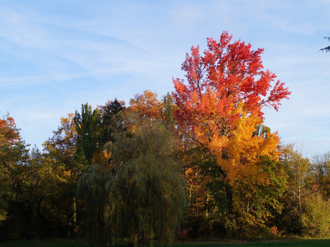 Les Luz Chambres d'hôtes - Bed and Breakfast主图