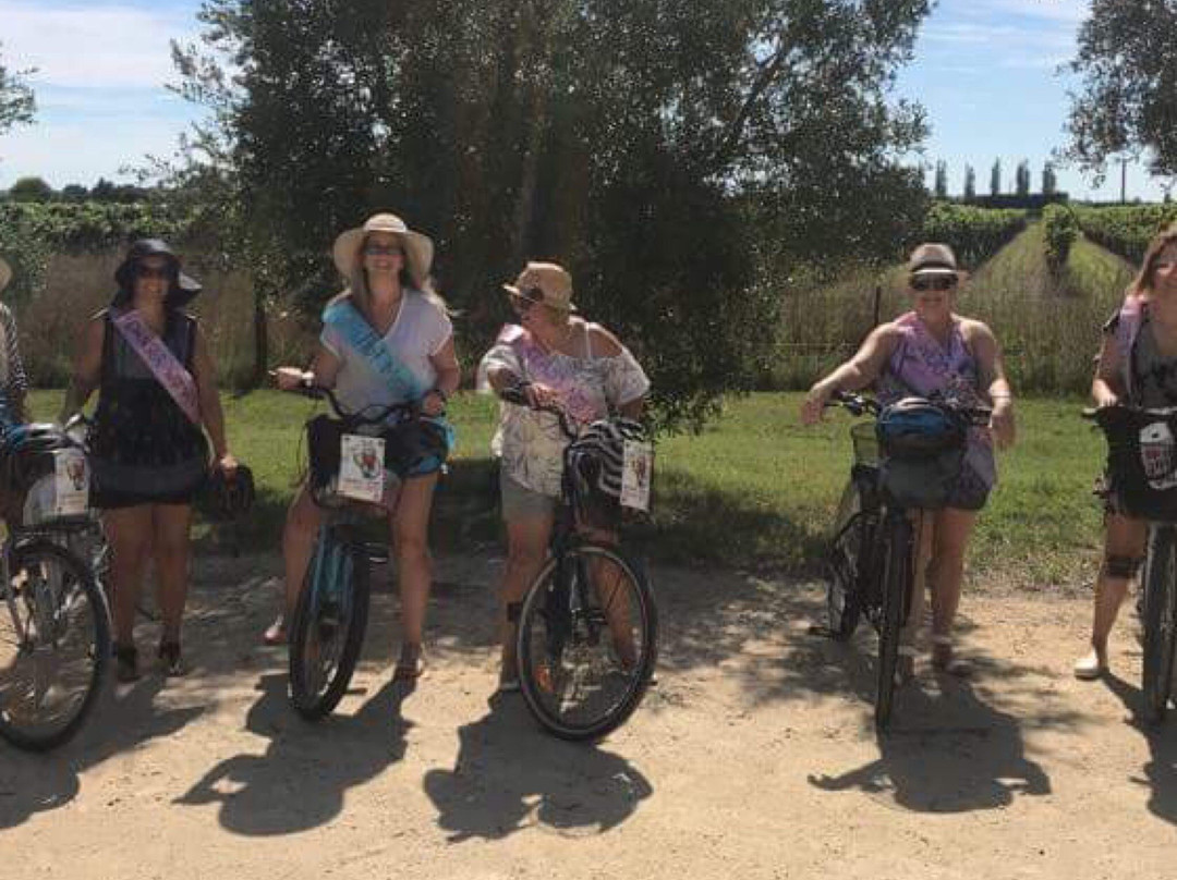 On Yer Bike Winery Tours-黑斯廷斯必去景点