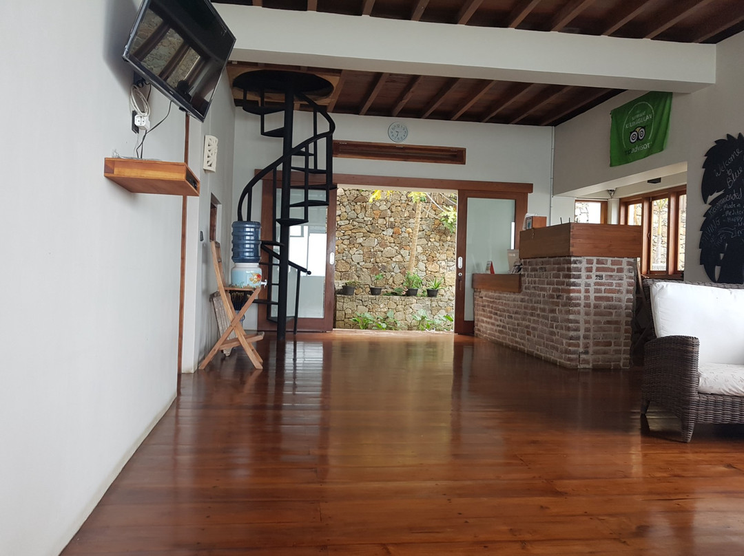 蓝鹦鹉酒店主图