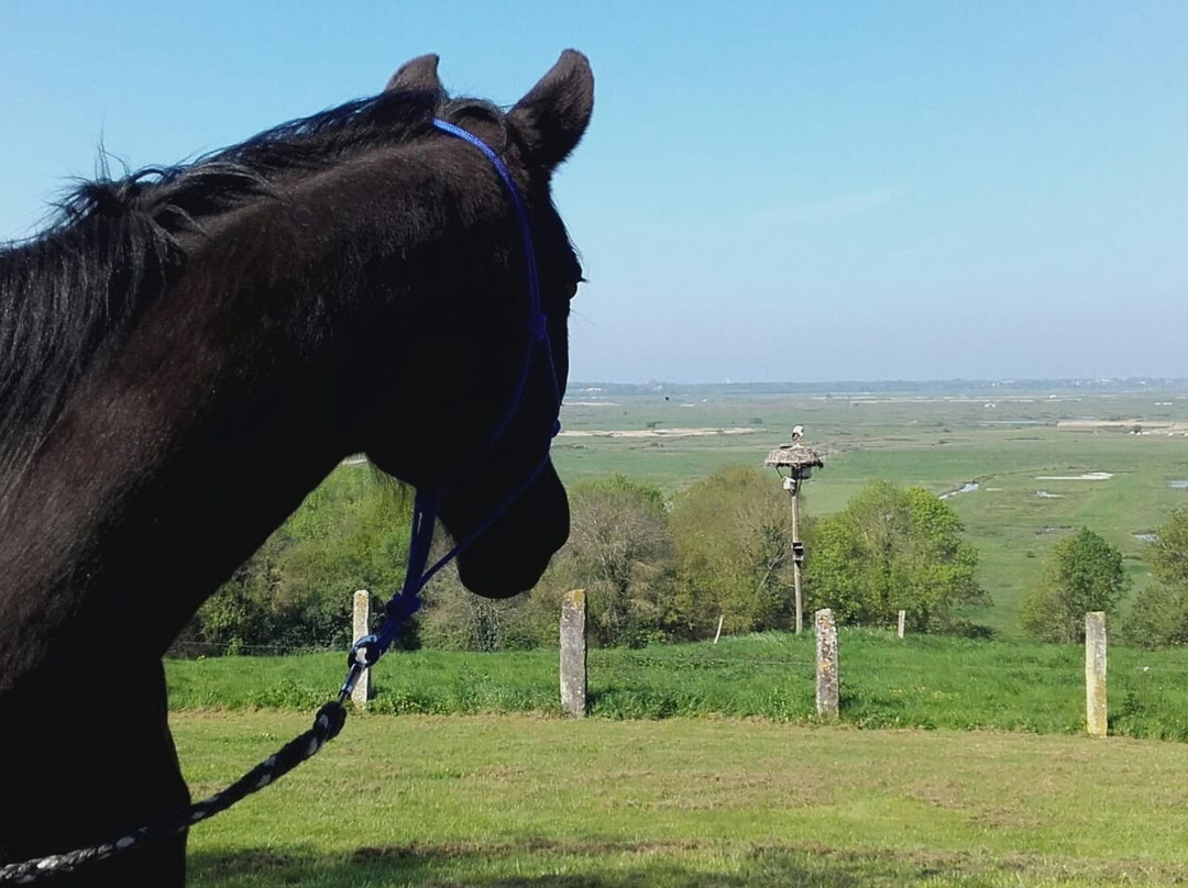 Domaine Terrocéane主图