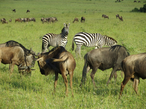 The Mane Tours Ltd.-Ruhengeri必去景点