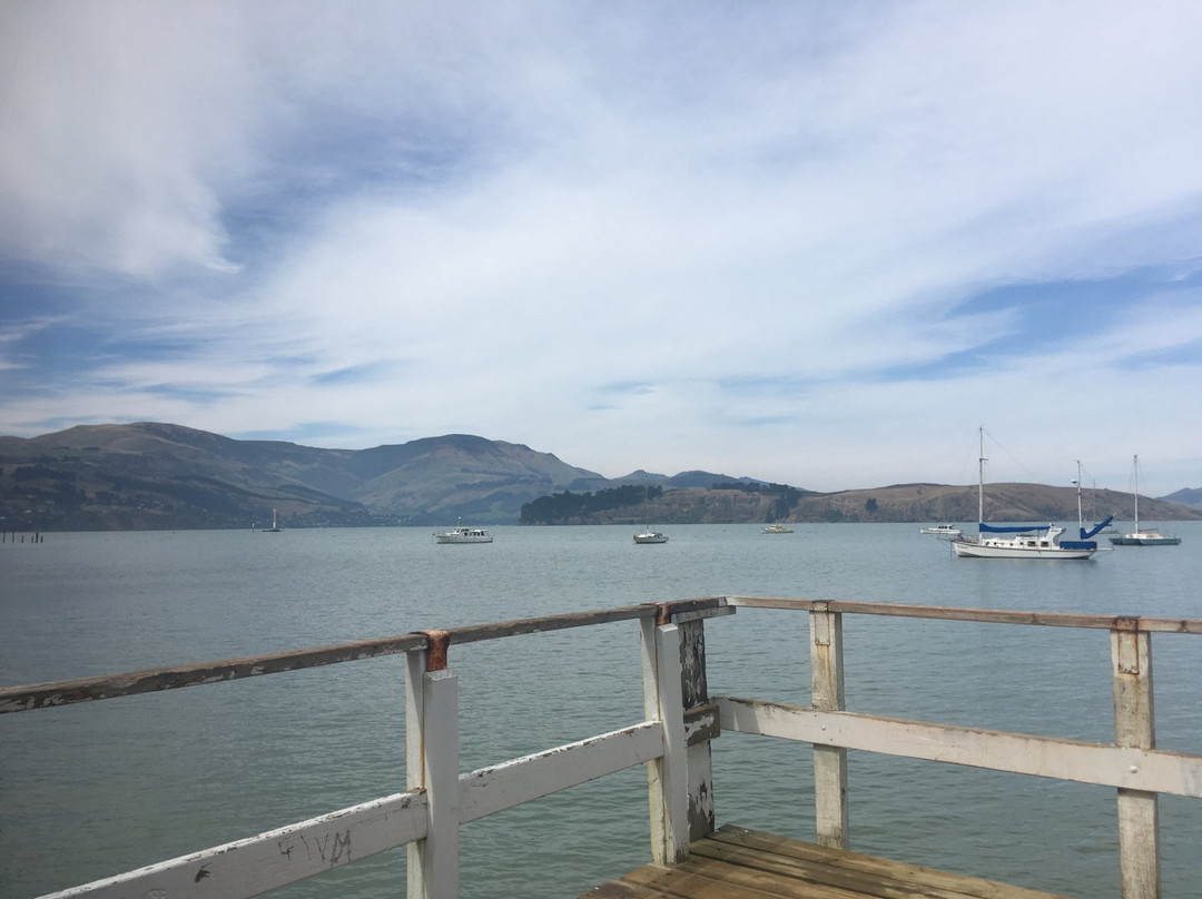 Corsair Bay-基督城必去景点