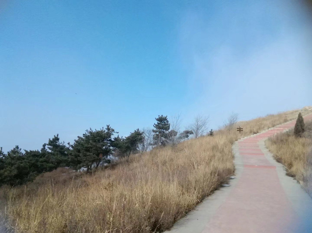 烟台磁山-烟台市必去景点