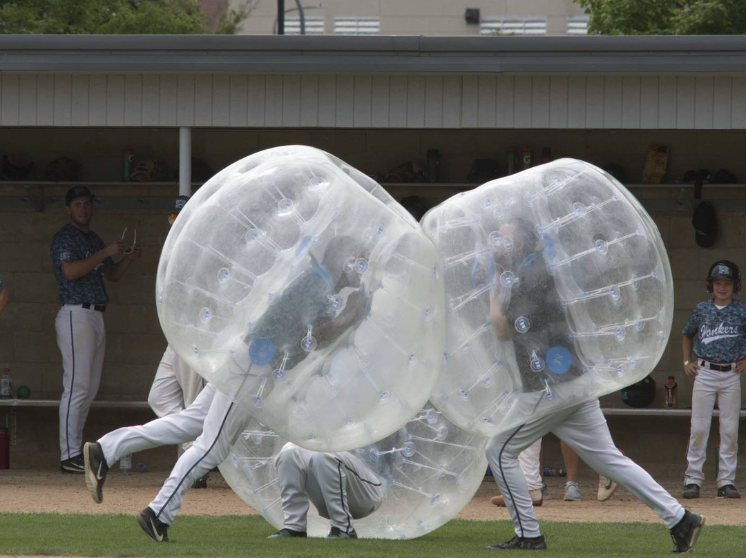 Mayo Field-罗切斯特必去景点