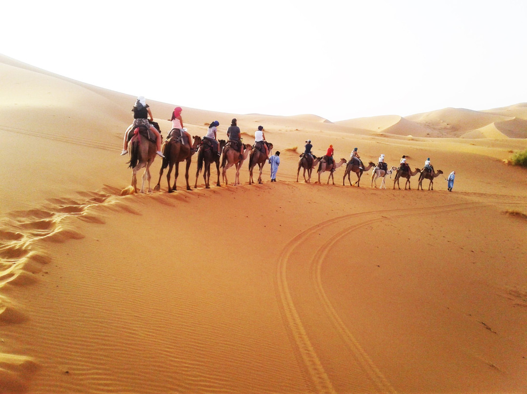 Momo Adventures-马拉喀什必去景点